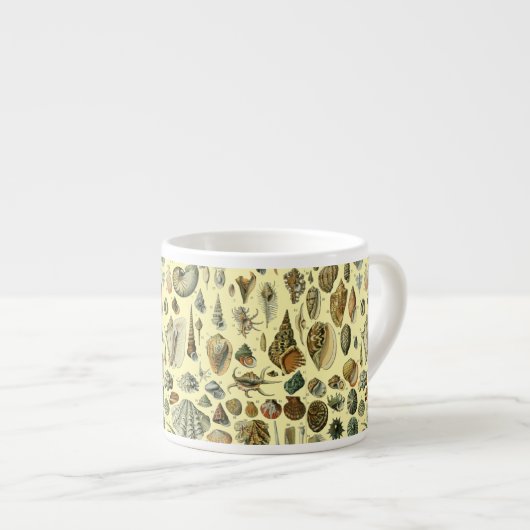 schelp schelp schelp schelp schelp elegante klassi espresso kop (Voorkant rechts)