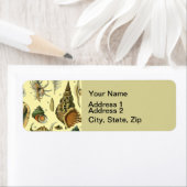 schelp schelp schelp schelp schelp elegante klassi etiket (Insitu)