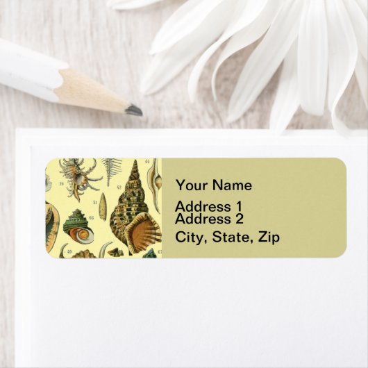 schelp schelp schelp schelp schelp elegante klassi etiket (Insitu)