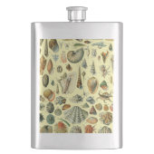 schelp schelp schelp schelp schelp elegante klassi flacon (Voorkant)