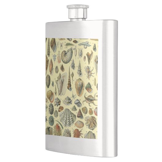 schelp schelp schelp schelp schelp elegante klassi flacon (Links)