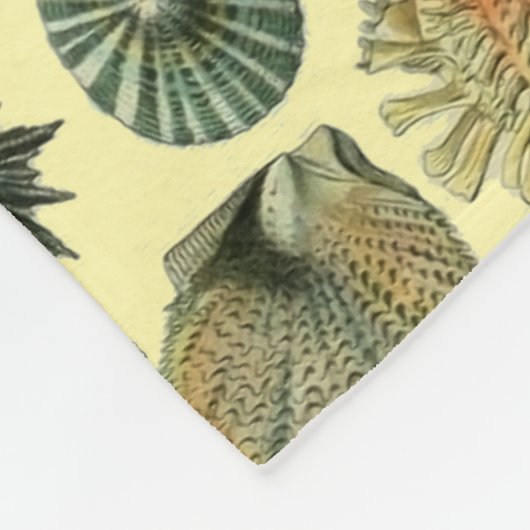 schelp schelp schelp schelp schelp elegante klassi fleece deken (Hoek)