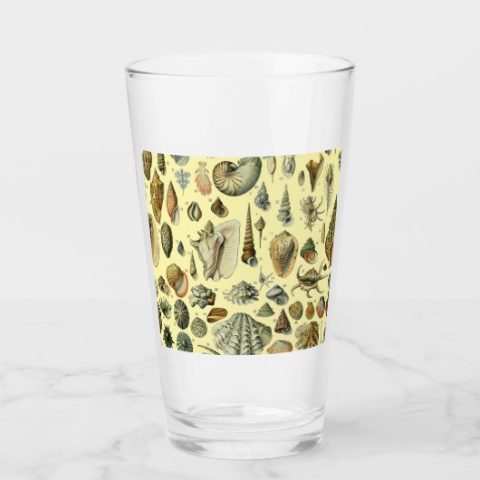 schelp schelp schelp schelp schelp elegante klassi glas (Voorkant)