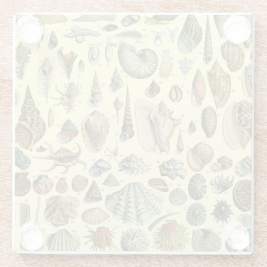 schelp schelp schelp schelp schelp elegante klassi glazen onderzetter (Achterkant)