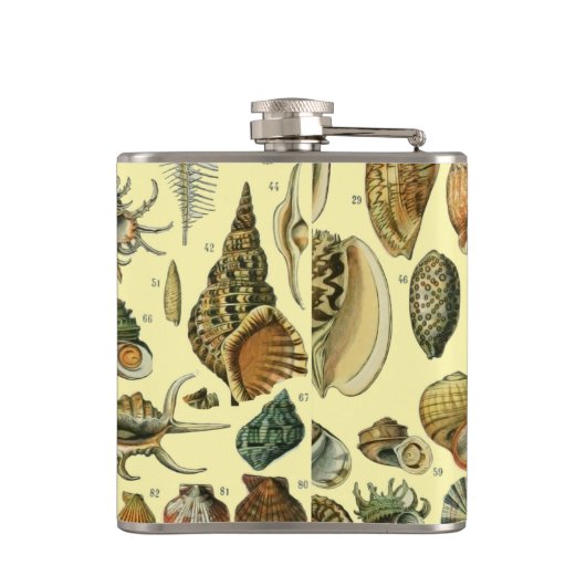 schelp schelp schelp schelp schelp elegante klassi heupfles (Achterkant)