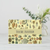 schelp schelp schelp schelp schelp elegante klassi kaart (Staand voorkant)