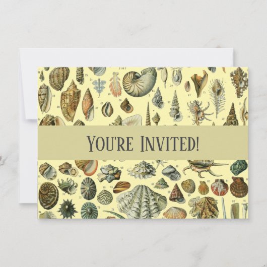 schelp schelp schelp schelp schelp elegante klassi kaart (Voorkant)