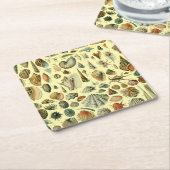 schelp schelp schelp schelp schelp elegante klassi kartonnen onderzetters (Schuin)