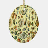 schelp schelp schelp schelp schelp elegante klassi keramisch ornament (Rechts)