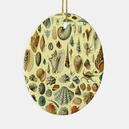 schelp schelp schelp schelp schelp elegante klassi keramisch ornament (Rechts)