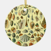 schelp schelp schelp schelp schelp elegante klassi keramisch ornament (Voorkant)