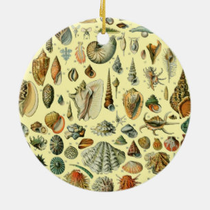 schelp schelp schelp schelp schelp elegante klassi keramisch ornament