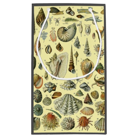 schelp schelp schelp schelp schelp elegante klassi klein cadeauzakje (Achterkant)