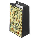 schelp schelp schelp schelp schelp elegante klassi klein cadeauzakje (Voorkant Gekanteld)