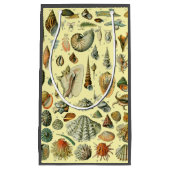 schelp schelp schelp schelp schelp elegante klassi klein cadeauzakje (Voorkant)