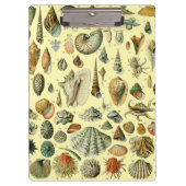 schelp schelp schelp schelp schelp elegante klassi klembord (Voorkant)