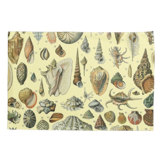 schelp schelp schelp schelp schelp elegante klassi kussensloop (Achterkant)