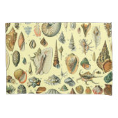 schelp schelp schelp schelp schelp elegante klassi kussensloop (Voorkant)