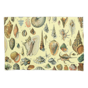 schelp schelp schelp schelp schelp elegante klassi kussensloop