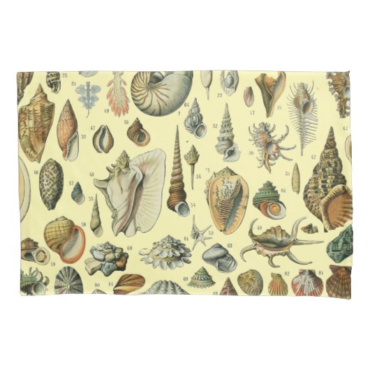 schelp schelp schelp schelp schelp elegante klassi kussensloop (Voorkant)