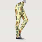schelp schelp schelp schelp schelp elegante klassi leggings (Rechts)