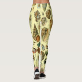 schelp schelp schelp schelp schelp elegante klassi leggings (Achterkant)