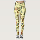 schelp schelp schelp schelp schelp elegante klassi leggings (Voorkant)