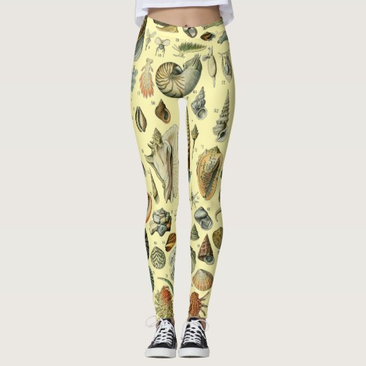 schelp schelp schelp schelp schelp elegante klassi leggings (Voorkant)