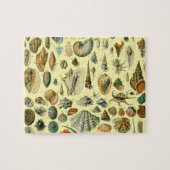 schelp schelp schelp schelp schelp elegante klassi legpuzzel (Horizontaal)