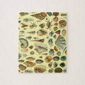 schelp schelp schelp schelp schelp elegante klassi legpuzzel (Verticaal)