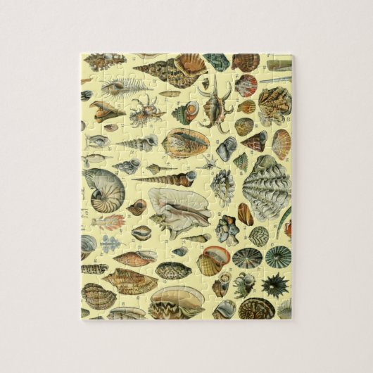 schelp schelp schelp schelp schelp elegante klassi legpuzzel (Verticaal)