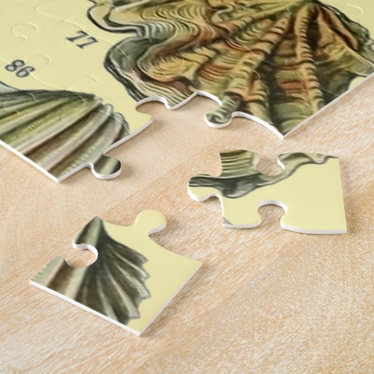 schelp schelp schelp schelp schelp elegante klassi legpuzzel (Zijkant)