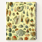 schelp schelp schelp schelp schelp elegante klassi notitieboek (Achterkant)