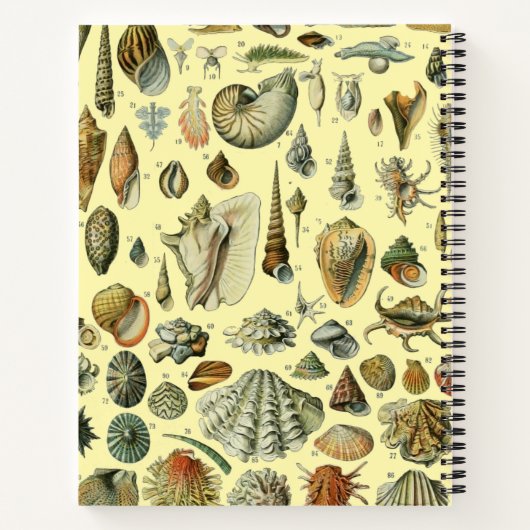 schelp schelp schelp schelp schelp elegante klassi notitieboek (Achterkant)