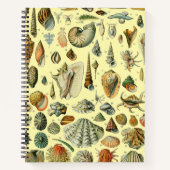 schelp schelp schelp schelp schelp elegante klassi notitieboek (Voorkant)