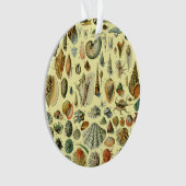 schelp schelp schelp schelp schelp elegante klassi ornament (voorkant)