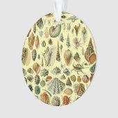 schelp schelp schelp schelp schelp elegante klassi ornament (voorkant)