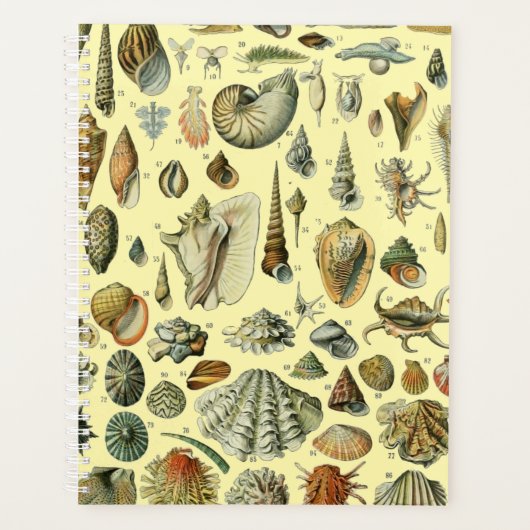 schelp schelp schelp schelp schelp elegante klassi planner (Voorkant)