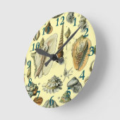 schelp schelp schelp schelp schelp elegante klassi ronde klok (Hoek)