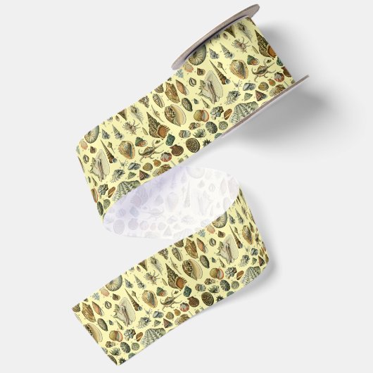 schelp schelp schelp schelp schelp elegante klassi satijnen lint (Achterkant)