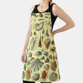 schelp schelp schelp schelp schelp elegante klassi schort (Insitu)