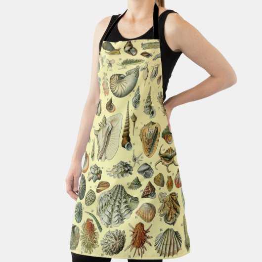 schelp schelp schelp schelp schelp elegante klassi schort (Insitu)