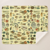 schelp schelp schelp schelp schelp elegante klassi sherpa deken (Voorkant (horizontaal))