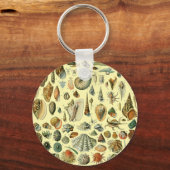 schelp schelp schelp schelp schelp elegante klassi sleutelhanger (Voorkant)