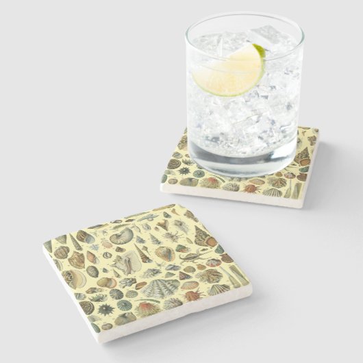 schelp schelp schelp schelp schelp elegante klassi stenen onderzetter (Zijkant)