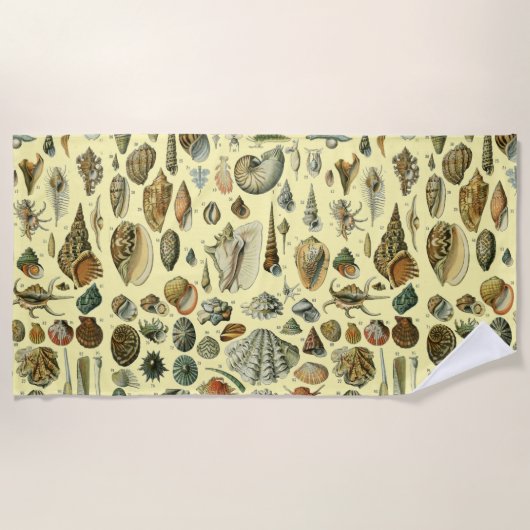 schelp schelp schelp schelp schelp elegante klassi strandlaken (Voorkant)