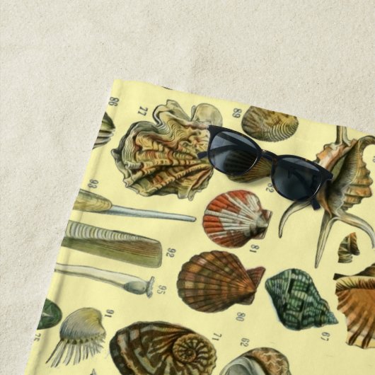 schelp schelp schelp schelp schelp elegante klassi strandlaken (In situ)