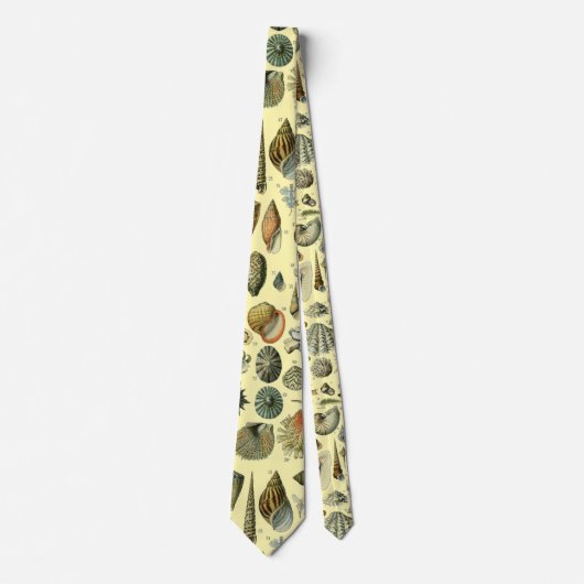 schelp schelp schelp schelp schelp elegante klassi stropdas (Voorkant)