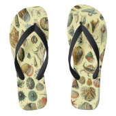schelp schelp schelp schelp schelp elegante klassi teenslippers (Voetbed)
