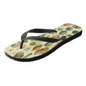 schelp schelp schelp schelp schelp elegante klassi teenslippers (Schuin)